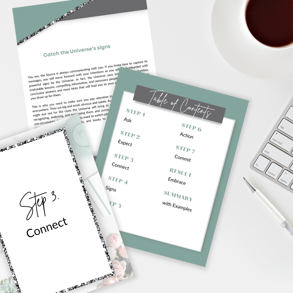 3 pages inside the book " manifestation process "