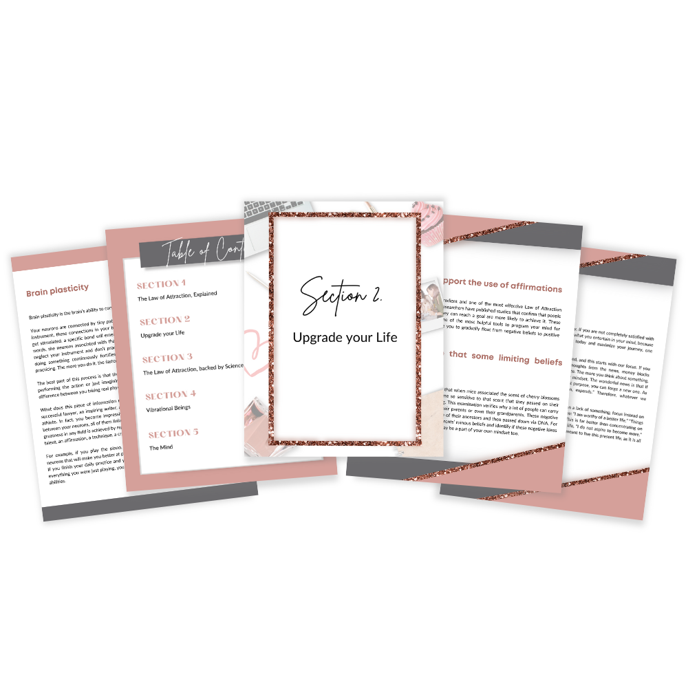 5 pages displaying the inside of the book law of attraction explanation and you can buy it at laiamunozauthor.com