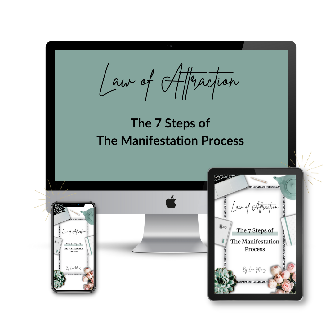 LAW OF ATTRACTION BUNDLE. The Law of Attraction Explanation and The 7 Steps of the Manifestation Process. This product contains 2 ebooks.