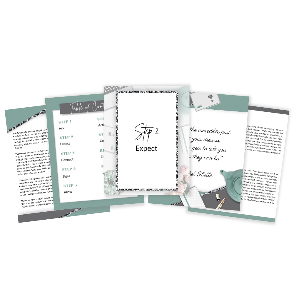 5 pages displaying the inisde of the book Manifestation process