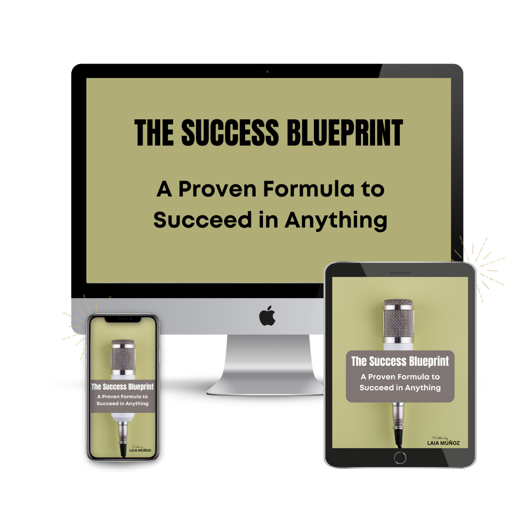 3 devices featuring the ebook " The success blueprint "